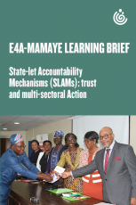 State-let Accountability  Mechanisms SLAMs trust  and multi-sectoral Action 
