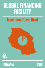 The GFF Tanzania Investment case brief
