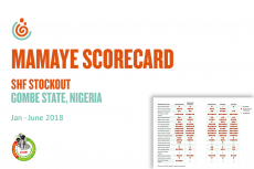GOMBE SHF STOCKOUT OF ESSENTIAL LIFE-SAVING COMMODITIES SCORECARD
