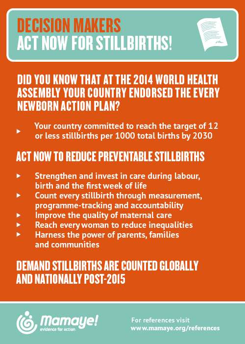 infographic decision makers preventable stillbirths